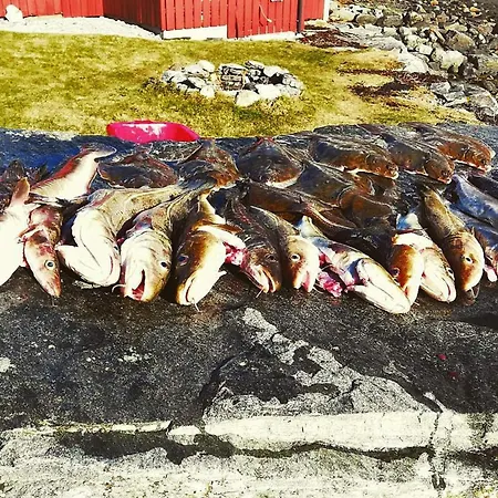 8 Person In * Austefjorden