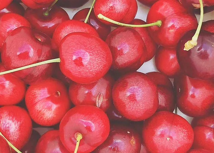 Tatil Evi 8 Person In *