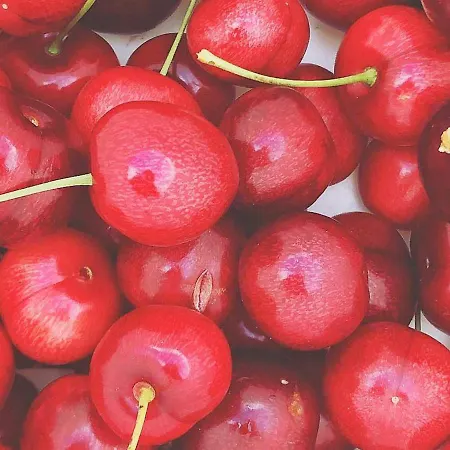 בית נופש 8 Person In *